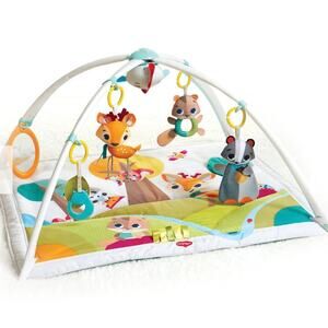 Tiny Love Into the Forest Play Gym
